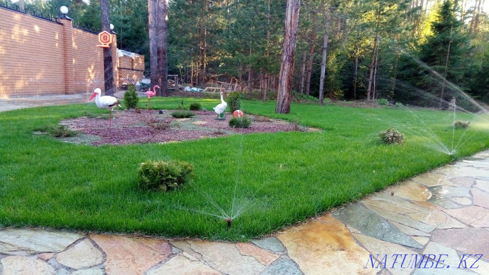 Lawn sowing. Fertilizers. Planting and planting trees. Almaty - photo 1
