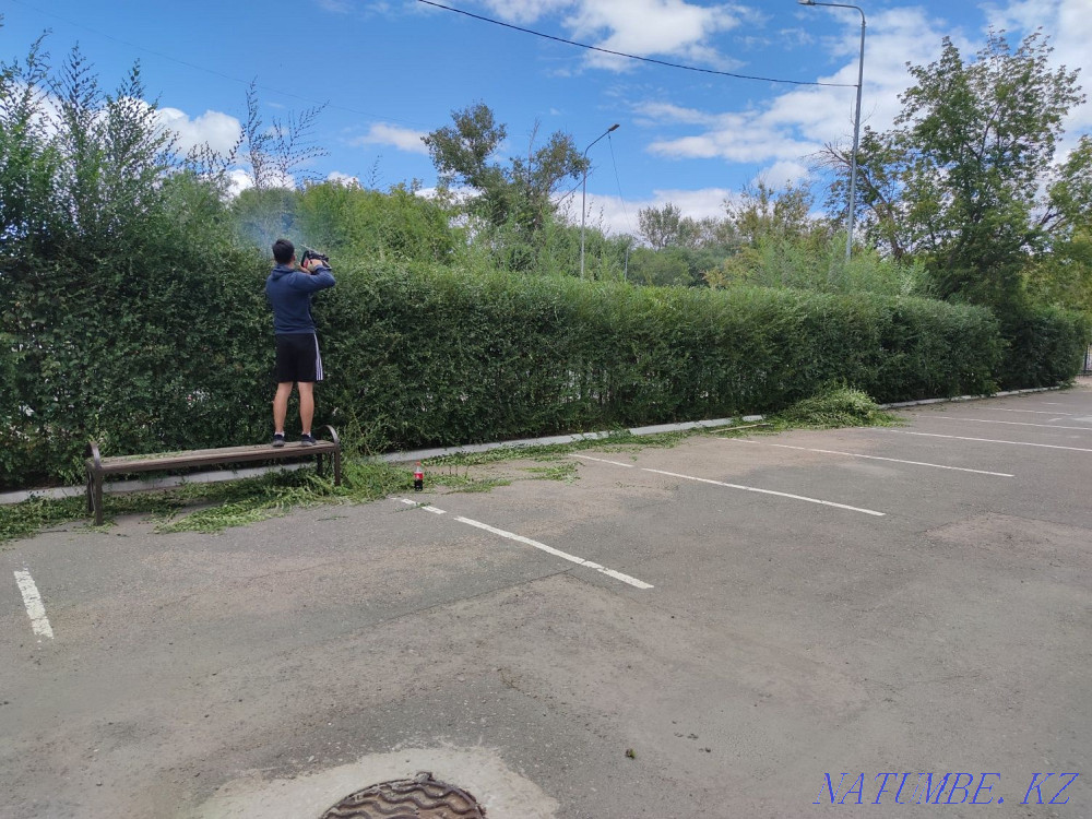 Landscaping: pruning and planting trees and shrubs Astana - photo 5