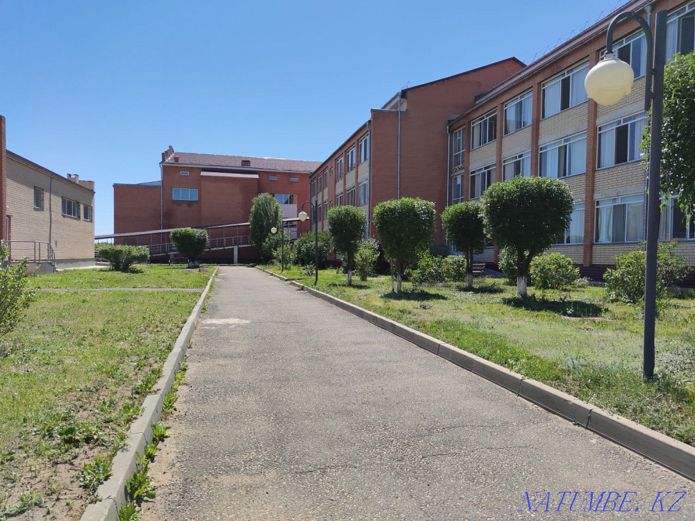 Landscaping: pruning and planting trees and shrubs Astana - photo 1