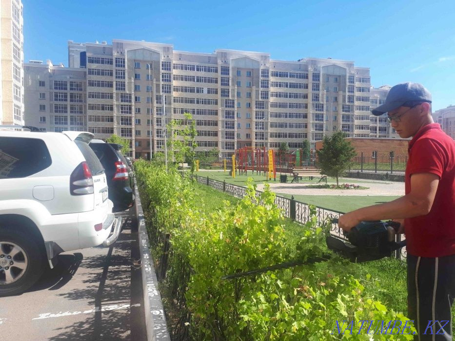 Landscaping: pruning and planting trees and shrubs Astana - photo 2