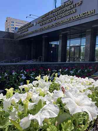 Ландшафтное озеленение, деревья, цветы Астана