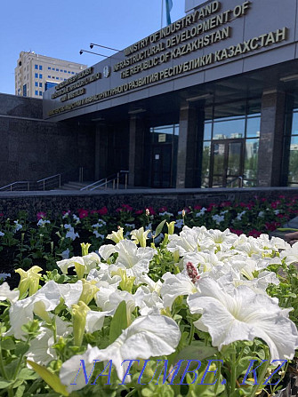 Landscape gardening, trees, flowers Astana - photo 4