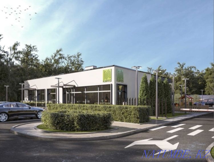 Ландшафтное озеленение, деревья, цветы Астана - изображение 8