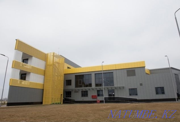 Ландшафтное озеленение, деревья, цветы Астана - изображение 3