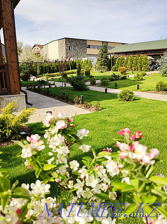Landscaping of territories. Lawn laying. Landscaping. Almaty - photo 2
