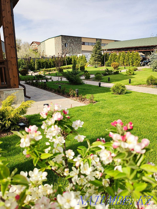 Landscaping of territories. Lawn laying. Landscaping. Almaty - photo 2