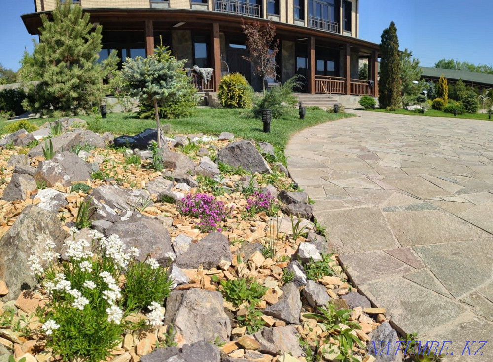 Landscaping of territories. Lawn laying. Landscaping. Almaty - photo 3
