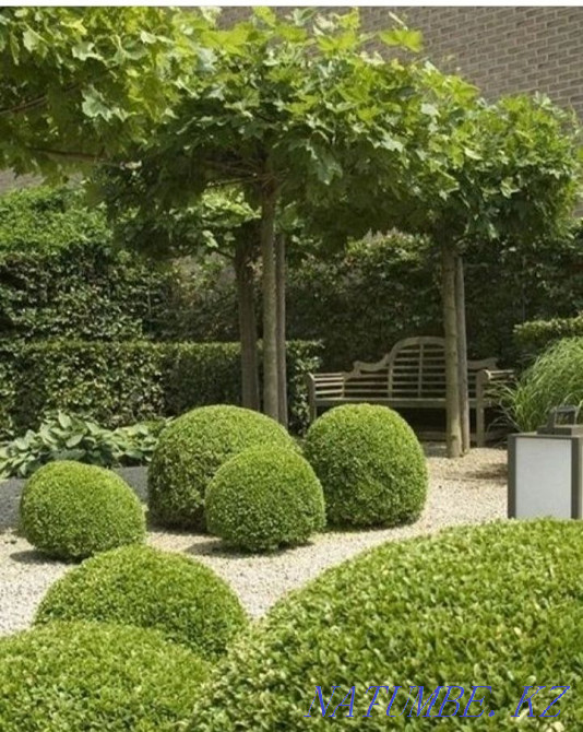 Automatic lawn watering. Landscape design Nur-Sultan city Акбулак - photo 7