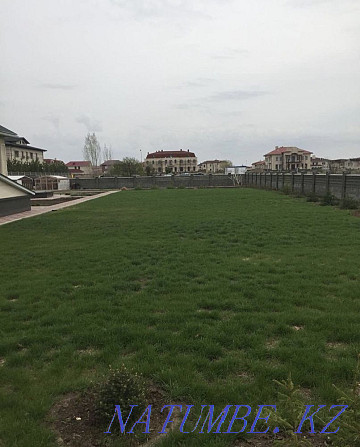 Sowing the lawn, fertilizing, digging and planting trees! Astana - photo 6