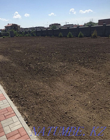 Sowing the lawn, fertilizing, digging and planting trees! Astana - photo 5