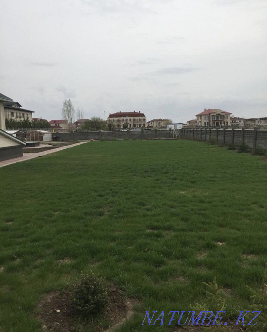 Посев газона,удобрение,выкопка и посадка деревьев! Астана - изображение 6