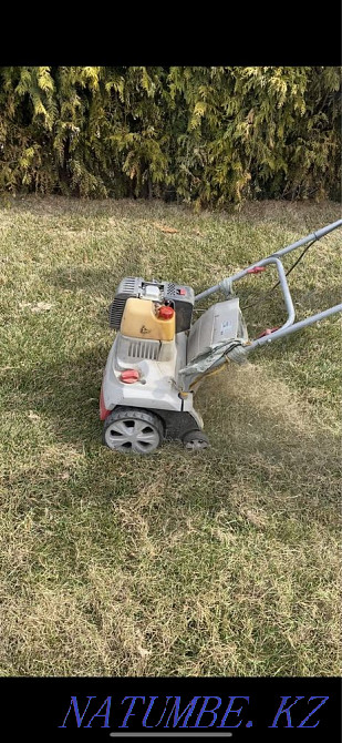 Garden maintenance, lawn mowing, fruit pruning, spraying Almaty - photo 5