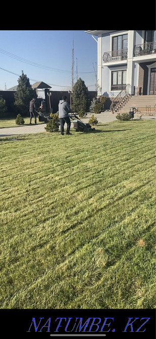 Garden maintenance, lawn mowing, fruit pruning, spraying Almaty - photo 6