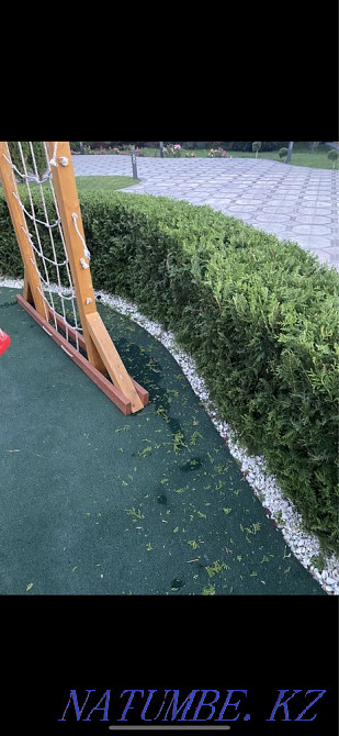 Garden maintenance, lawn mowing, fruit pruning, spraying Almaty - photo 4