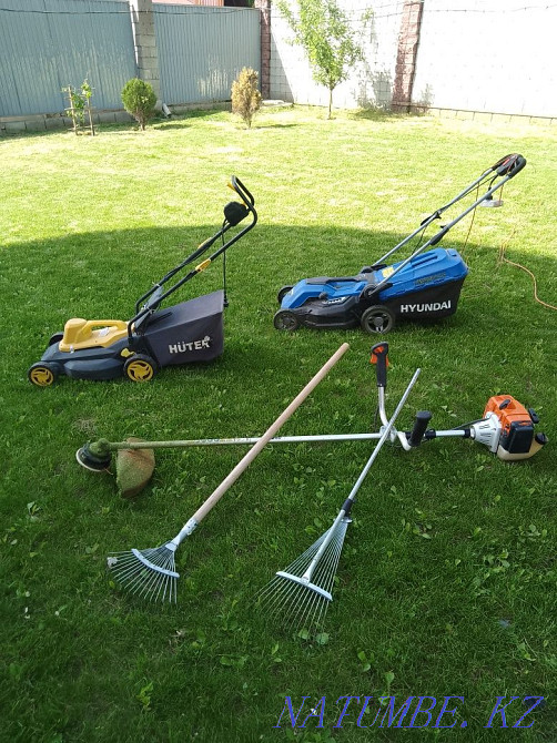 Шөп шабу, көгалдандыру қызметтері  Алматы - изображение 1