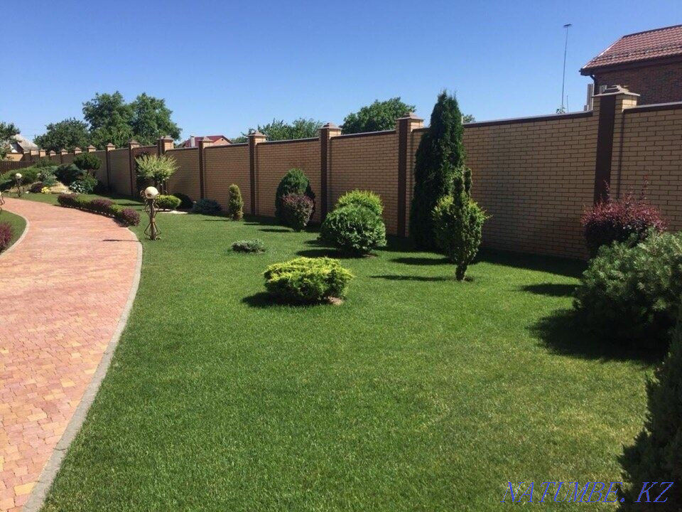 Landscaping. Lawn. Landscaping. Greenery care. Taraz - photo 4