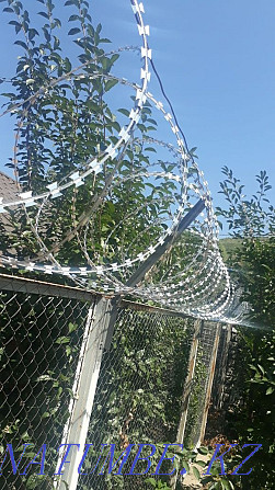 Professional installation (Installation) SBB Egoza. Barbed wire. ACL Almaty - photo 4