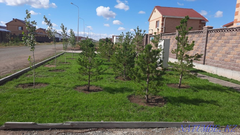 Көгалдандыру  отбасы  - изображение 1