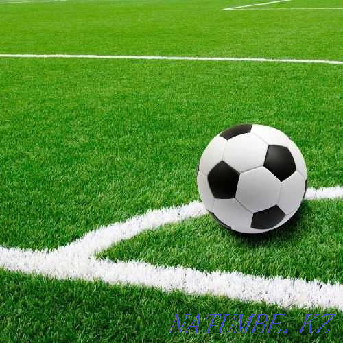 Укладка резиновой крошки. Резиновая покрытие. Тартан искусственный газ Кызылорда - изображение 5