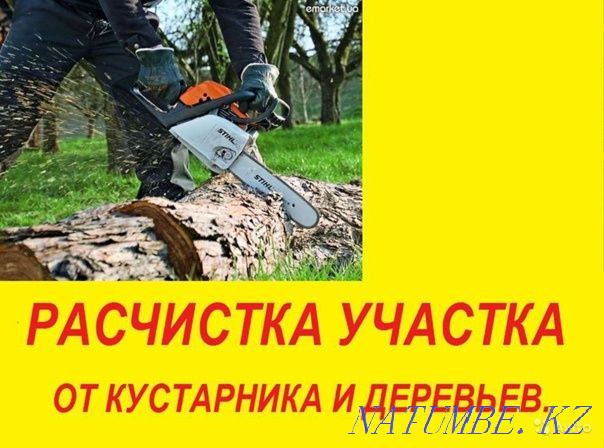 Cutting trees and clearing bushes Semey - photo 1