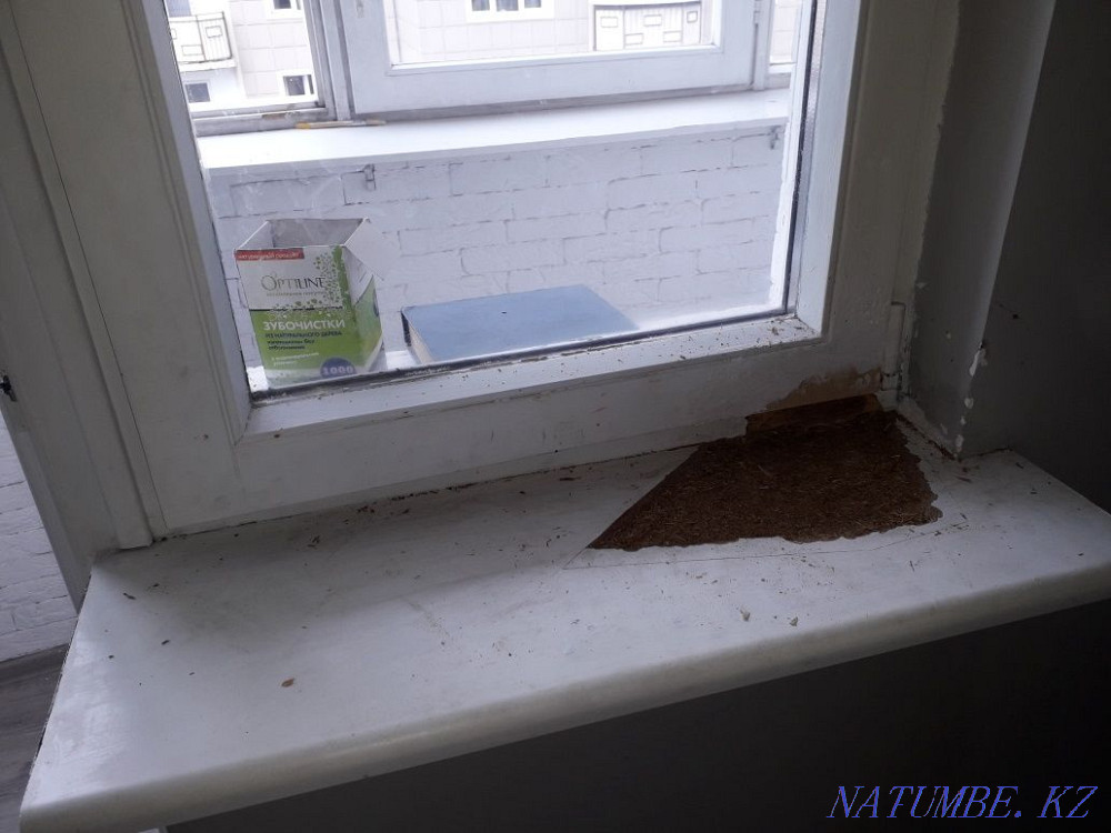 Ремонт и реставрация дерева Черкасск - изображение 8