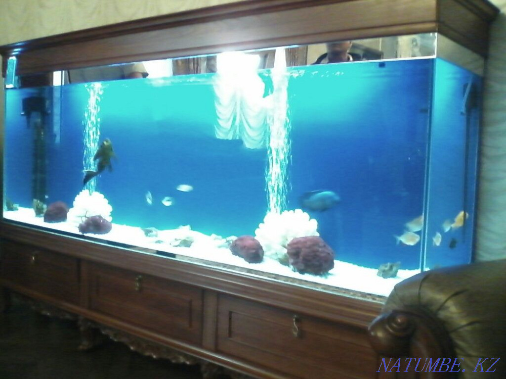 Столярный цех лестницы двери арки мебель шпон дуб конструкции Караганда - изображение 8