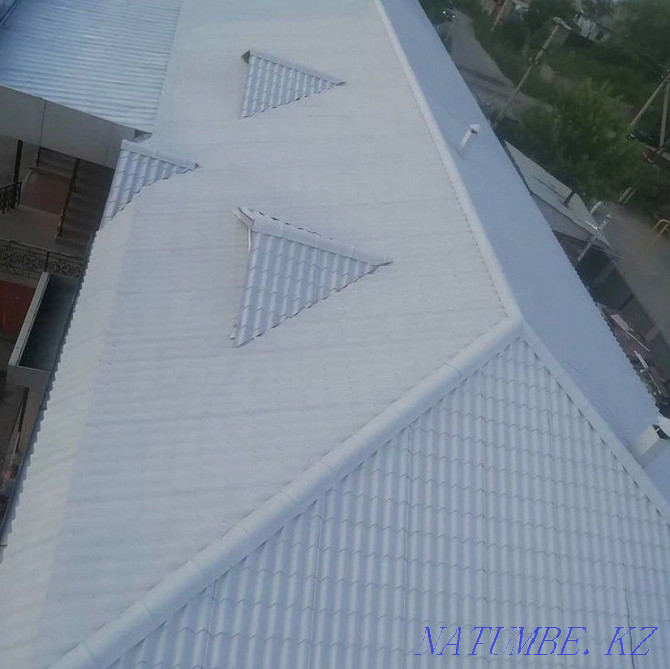 painting paint roofs, fences at low prices Almaty - photo 3