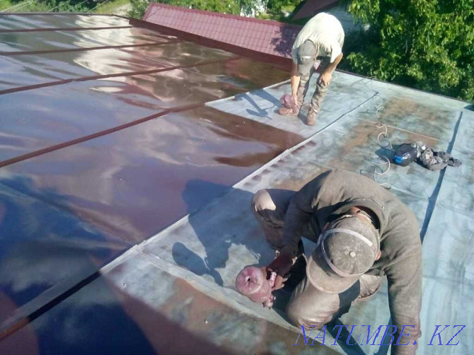 Professional roof painting Astana - photo 6