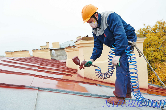 Professional roof painting Astana - photo 2