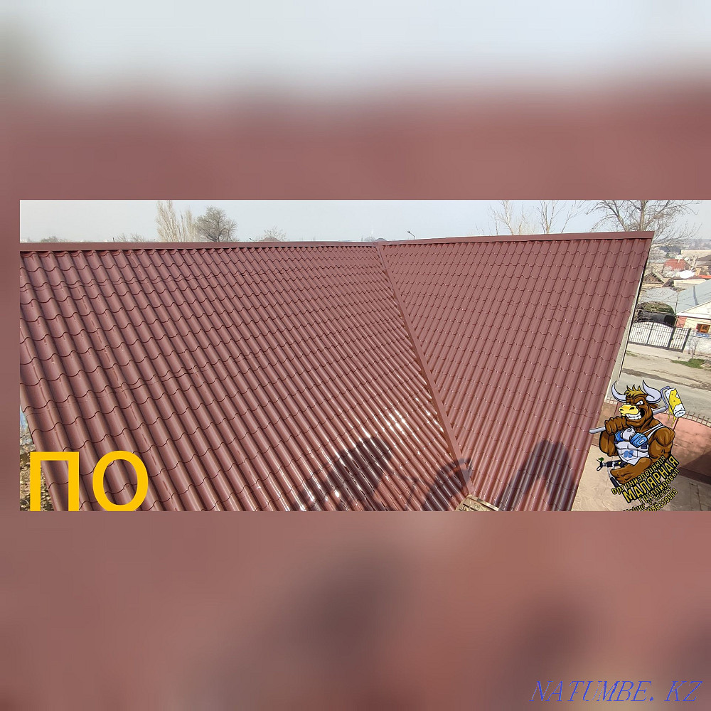 Roof painting fast and high quality action roof washing as a gift!  - photo 3