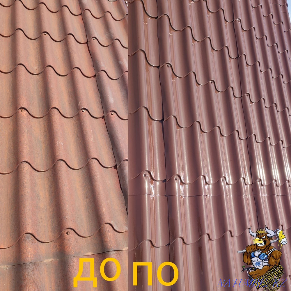 Roof painting fast and high quality action roof washing as a gift!  - photo 1