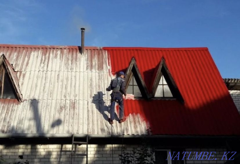 PAINTING of roof gates Astana - photo 4