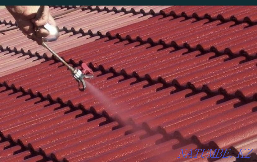 PAINTING of roof gates Astana - photo 3