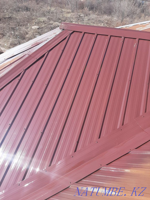 Painter painting roofs of any complexity Almaty - photo 8