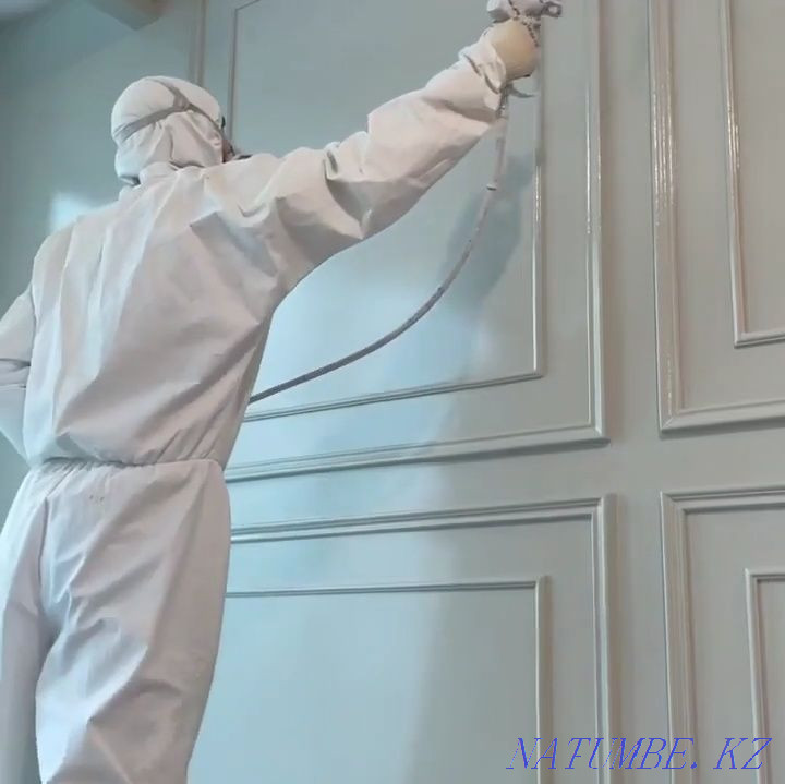 Painting. Airless sprayer  - photo 3