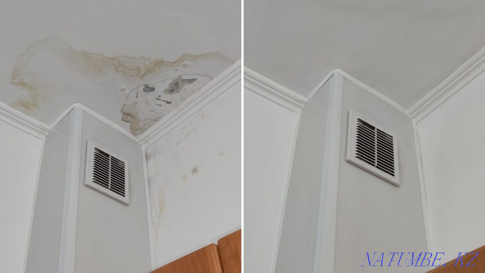 Painting-200tg emulsion, seaming, wallpaper, gesso Almaty - photo 5