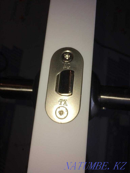 Installing doors inexpensively Astana - photo 5