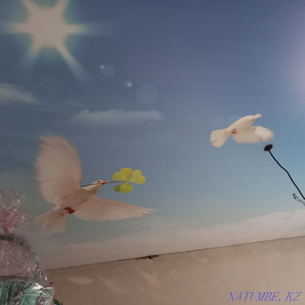 Stretch ceiling Urochishche Talgarbaytuma - photo 1