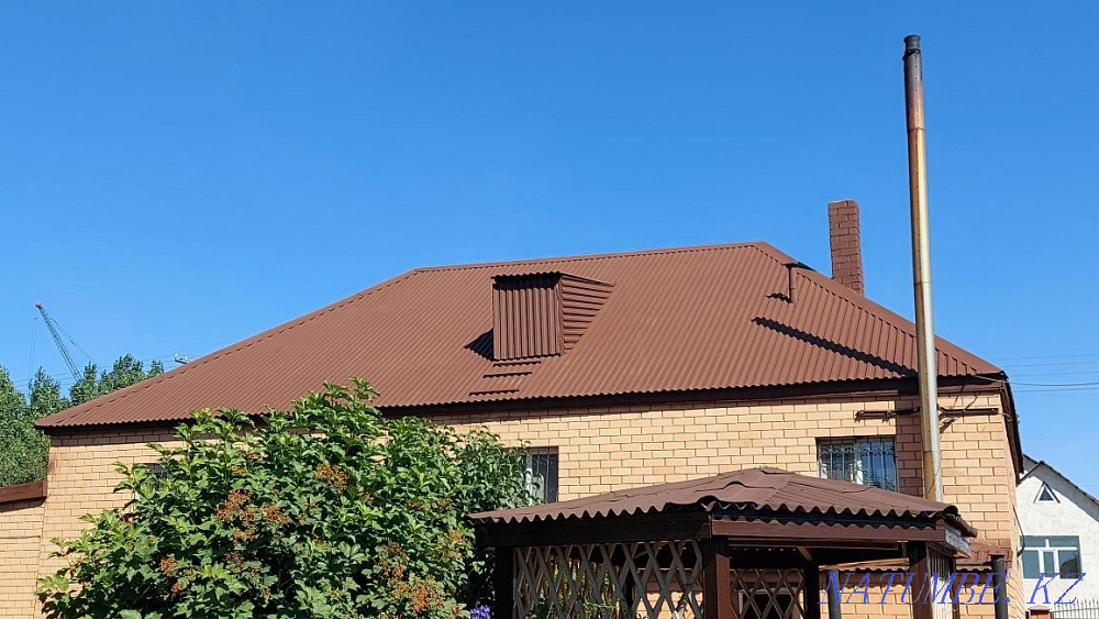 Painting of the roof, facade, walls, ceiling, fences, in Nur-Sultan Astana - photo 1