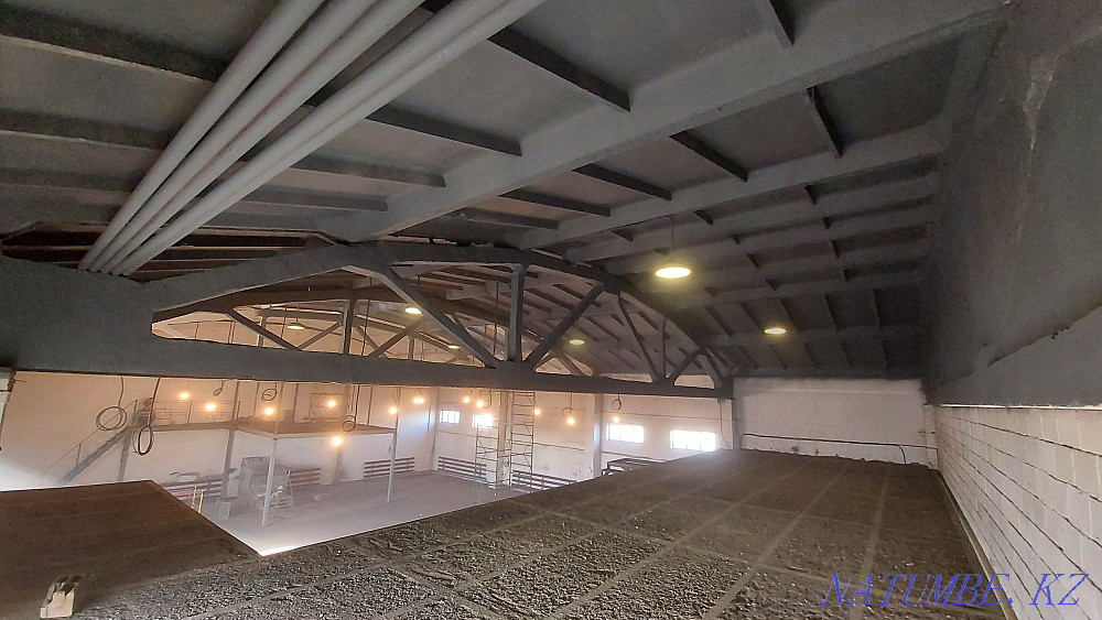 Painting of the roof, facade, walls, ceiling, fences, in Nur-Sultan Astana - photo 4