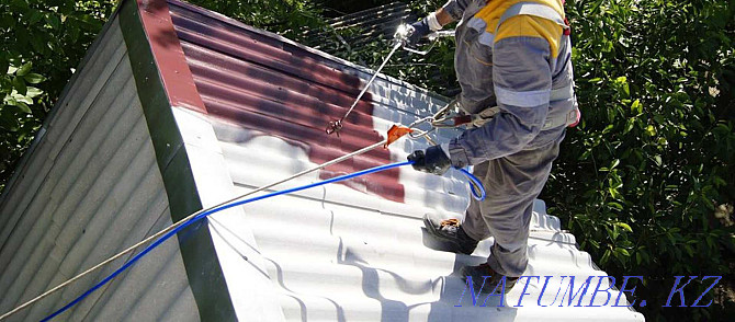 Professional roof painting Astana - photo 3