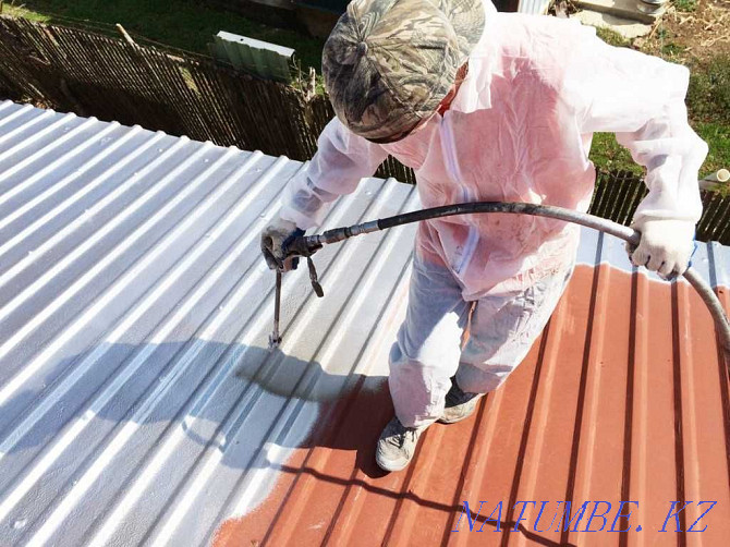 Professional roof painting Astana - photo 4