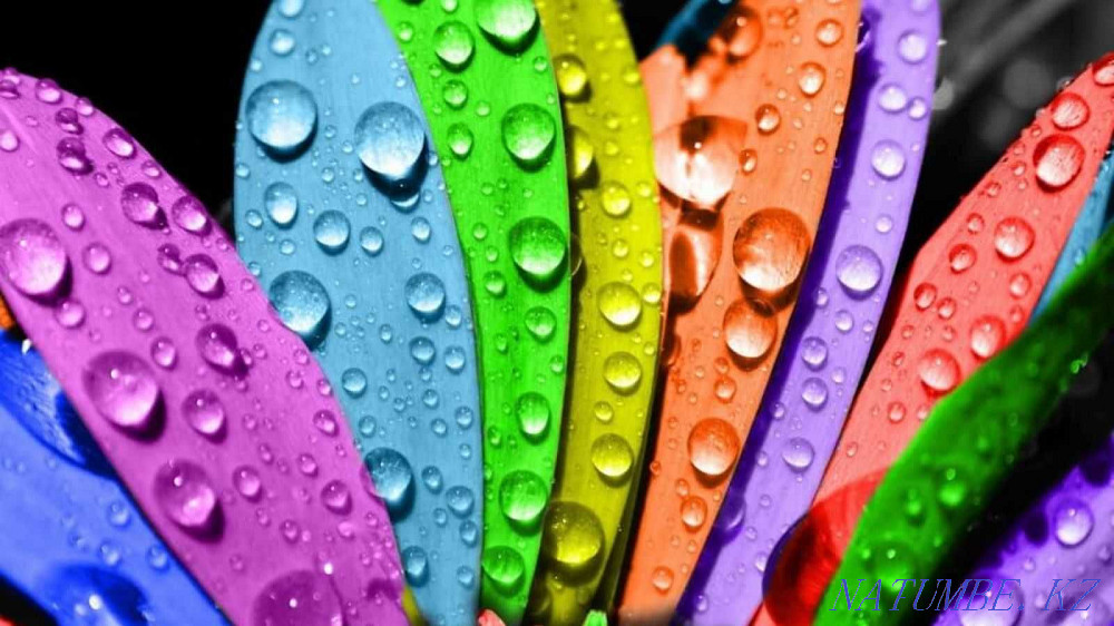 Polymer paint. (Powder paint finish) Almaty - photo 1