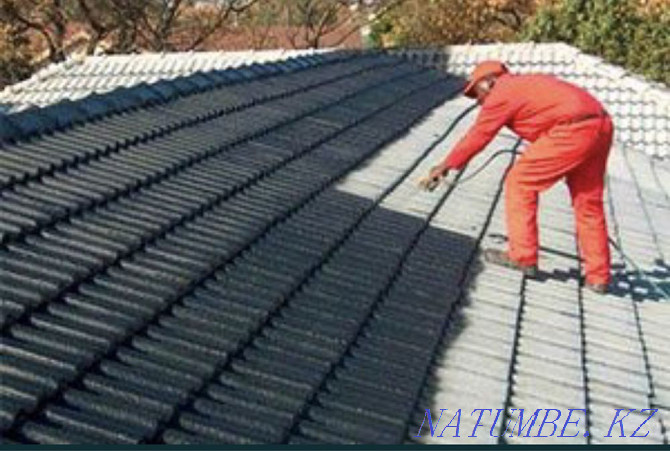 Airless roof painting Almaty - photo 4