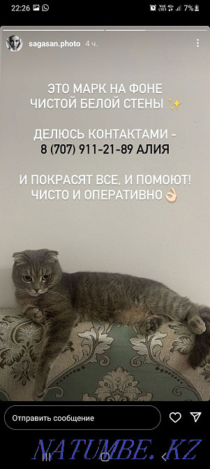 Painting, whitewashing walls and ceilings, turnkey repairs Almaty - photo 2