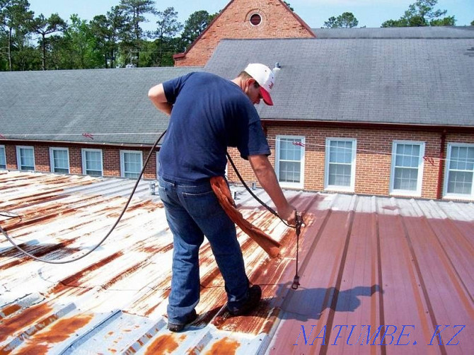 House painter painting whitewash Almaty - photo 6