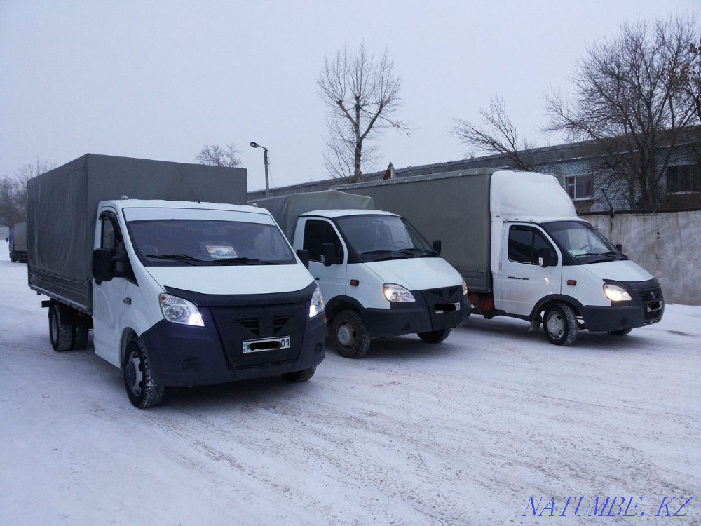 Garbage removal gazelle Astana - photo 1