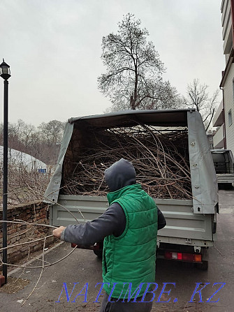 Вывоз веток, деревьев, строительного мусора ненужного хлама Алматы - изображение 1