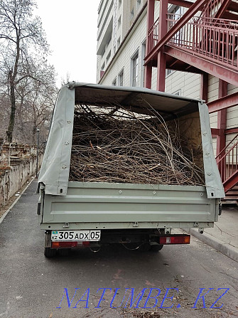 Бұтақтарды, ағаштарды, құрылыс қалдықтарын жою  Алматы - изображение 2