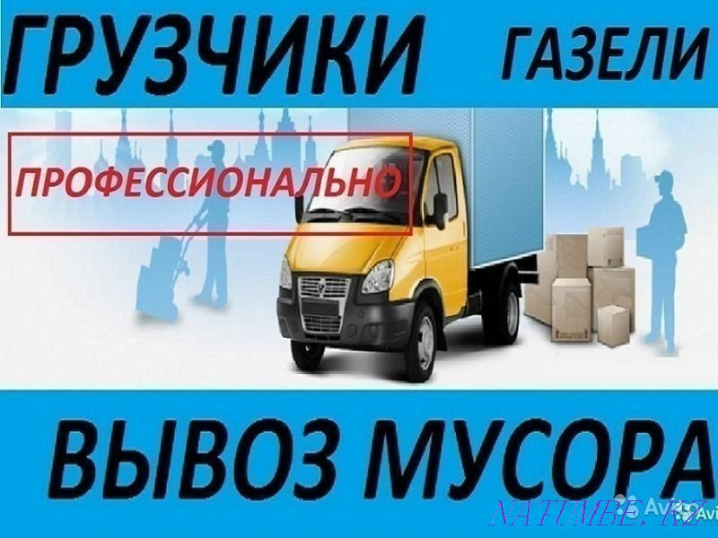 Жүк тиегіштер қарақұйрық  отбасы  - изображение 1